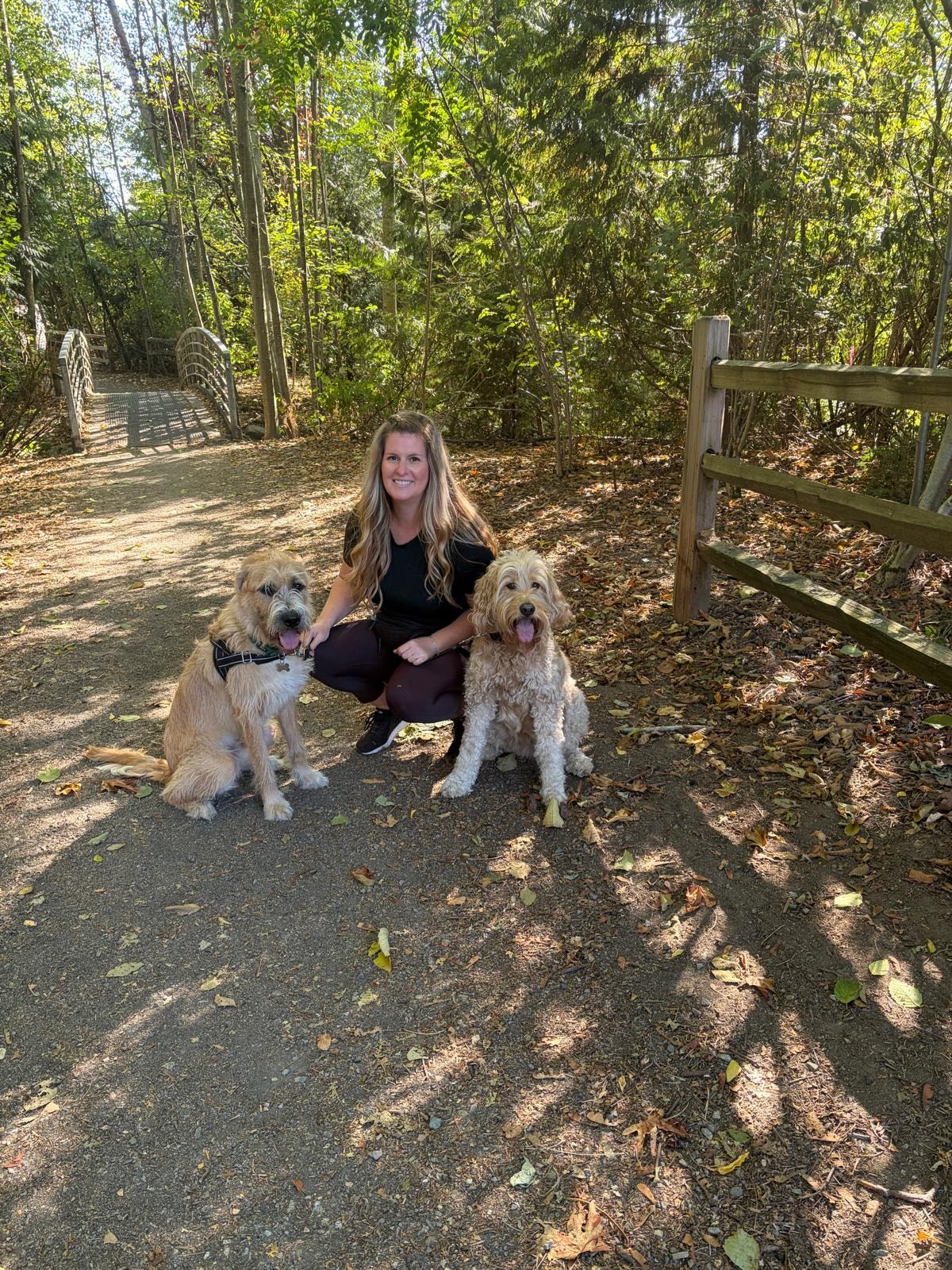 Dog walker with dog outdoors