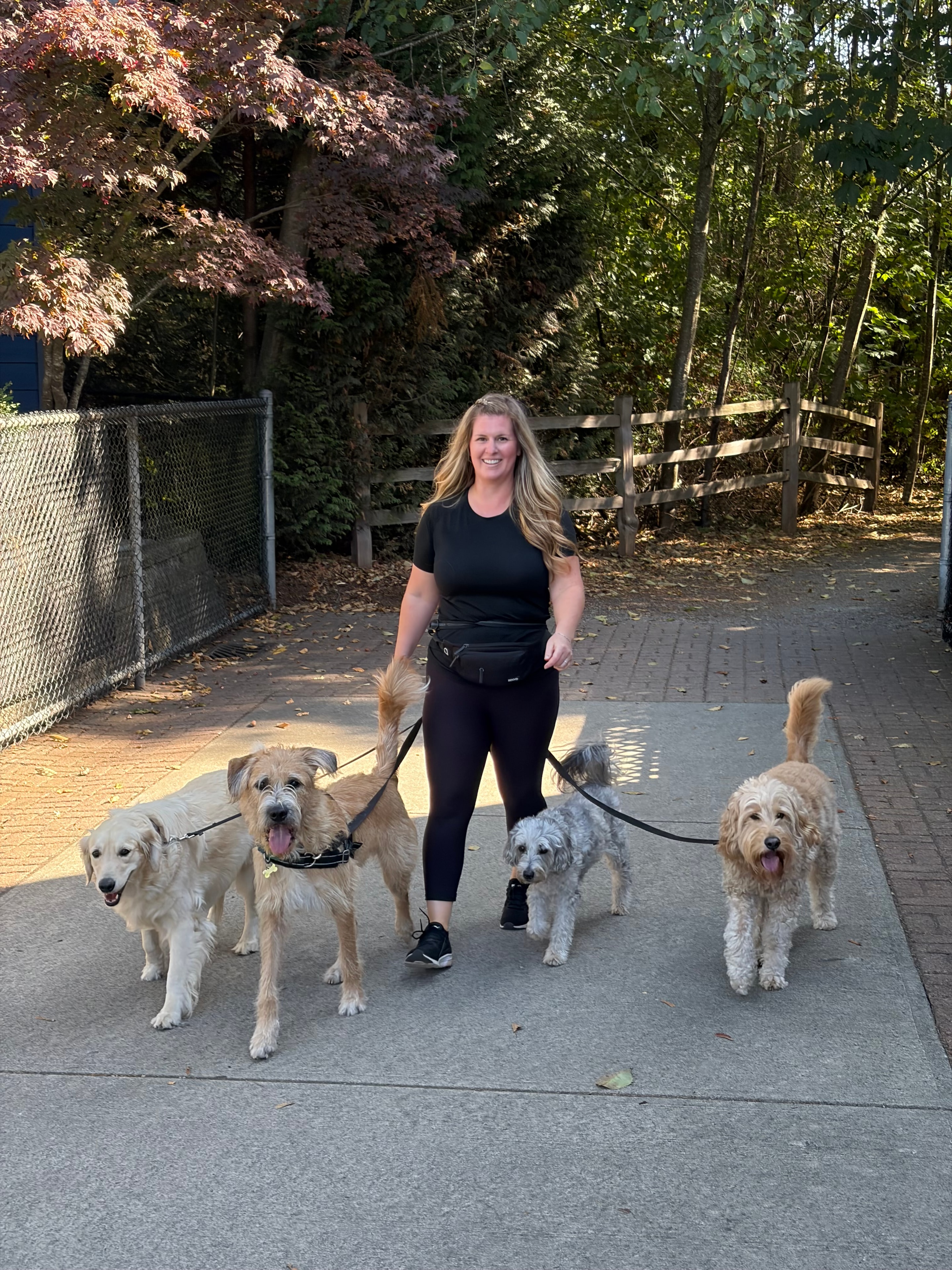 Group Walk