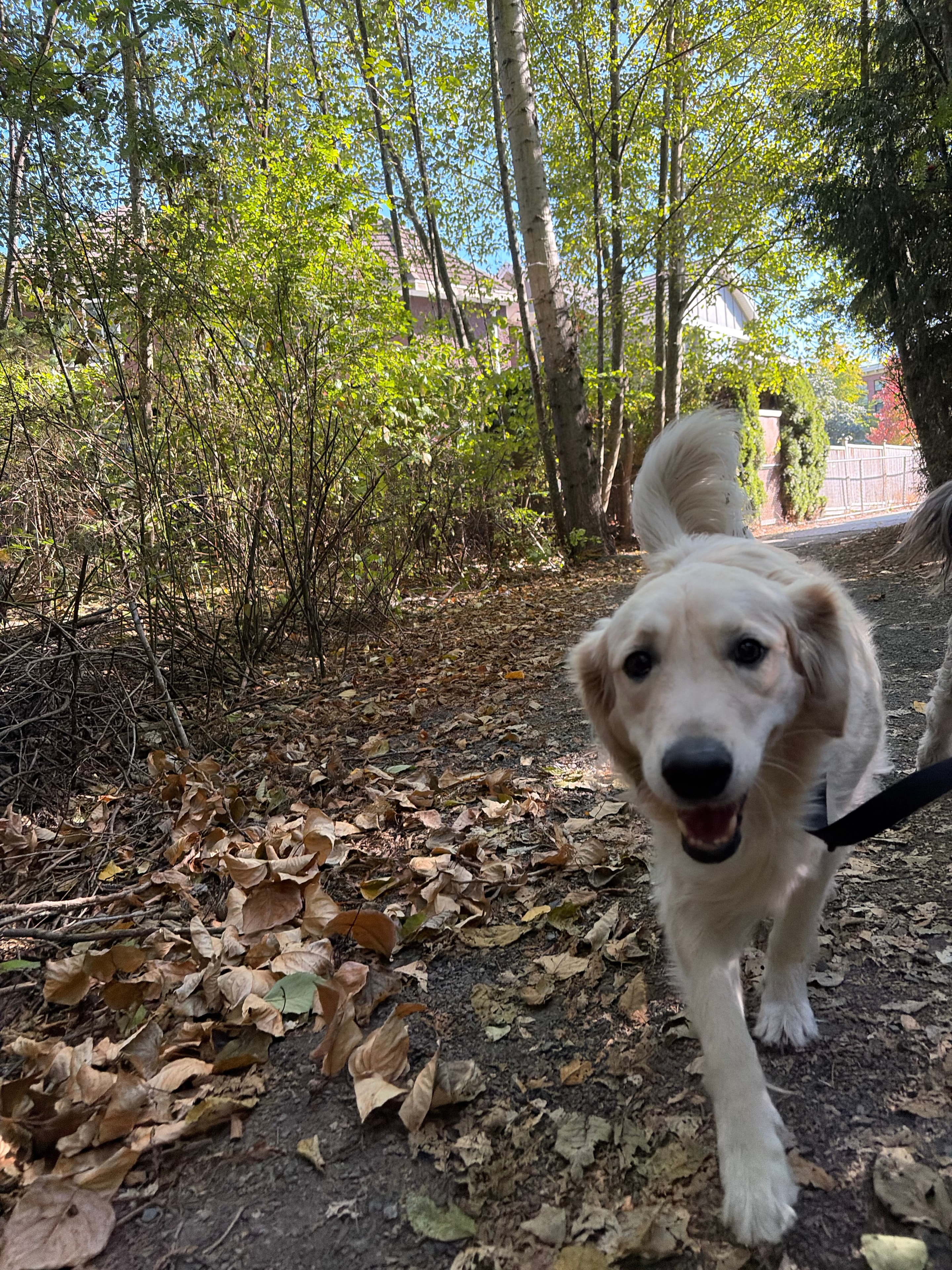 Private Walk